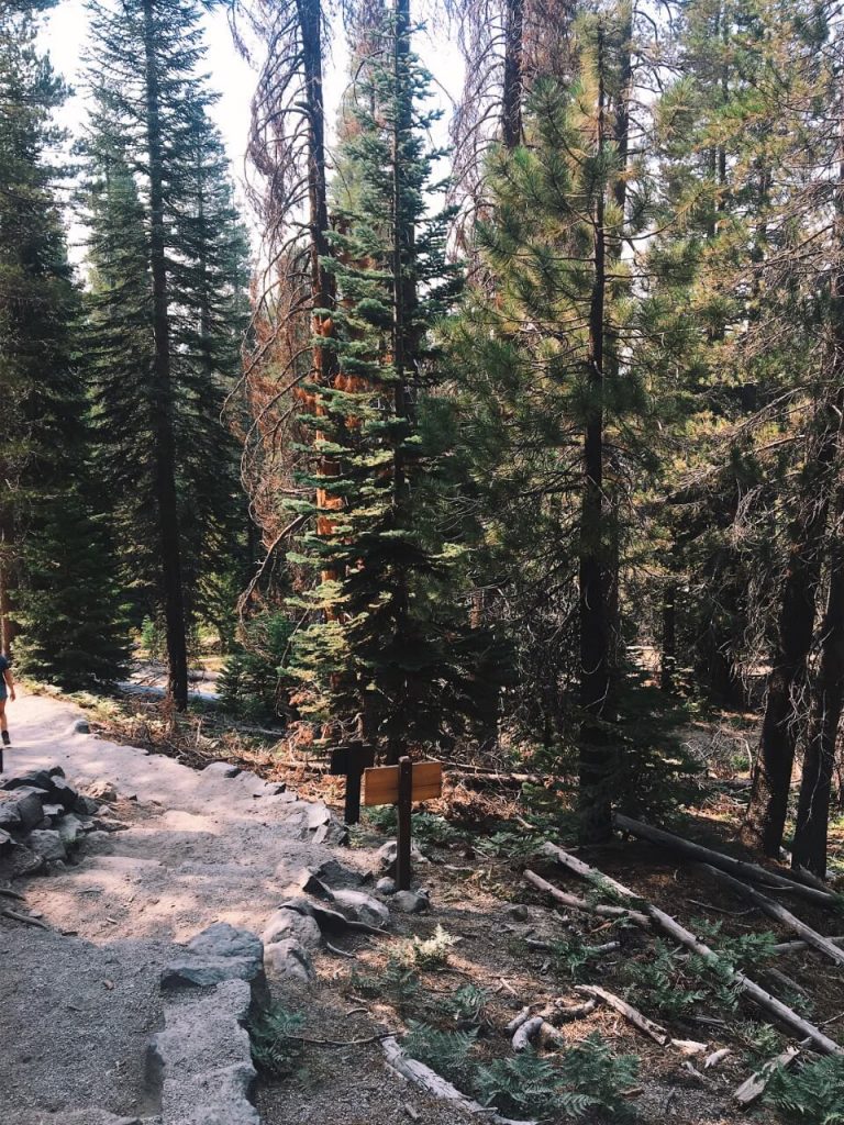 mammoth lakes
