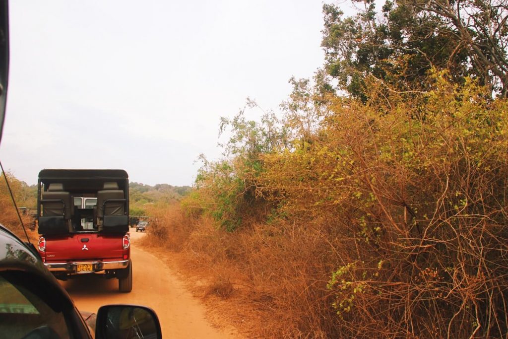 Safari Yala National Park